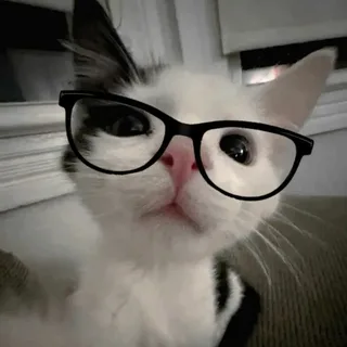 NeuroStore